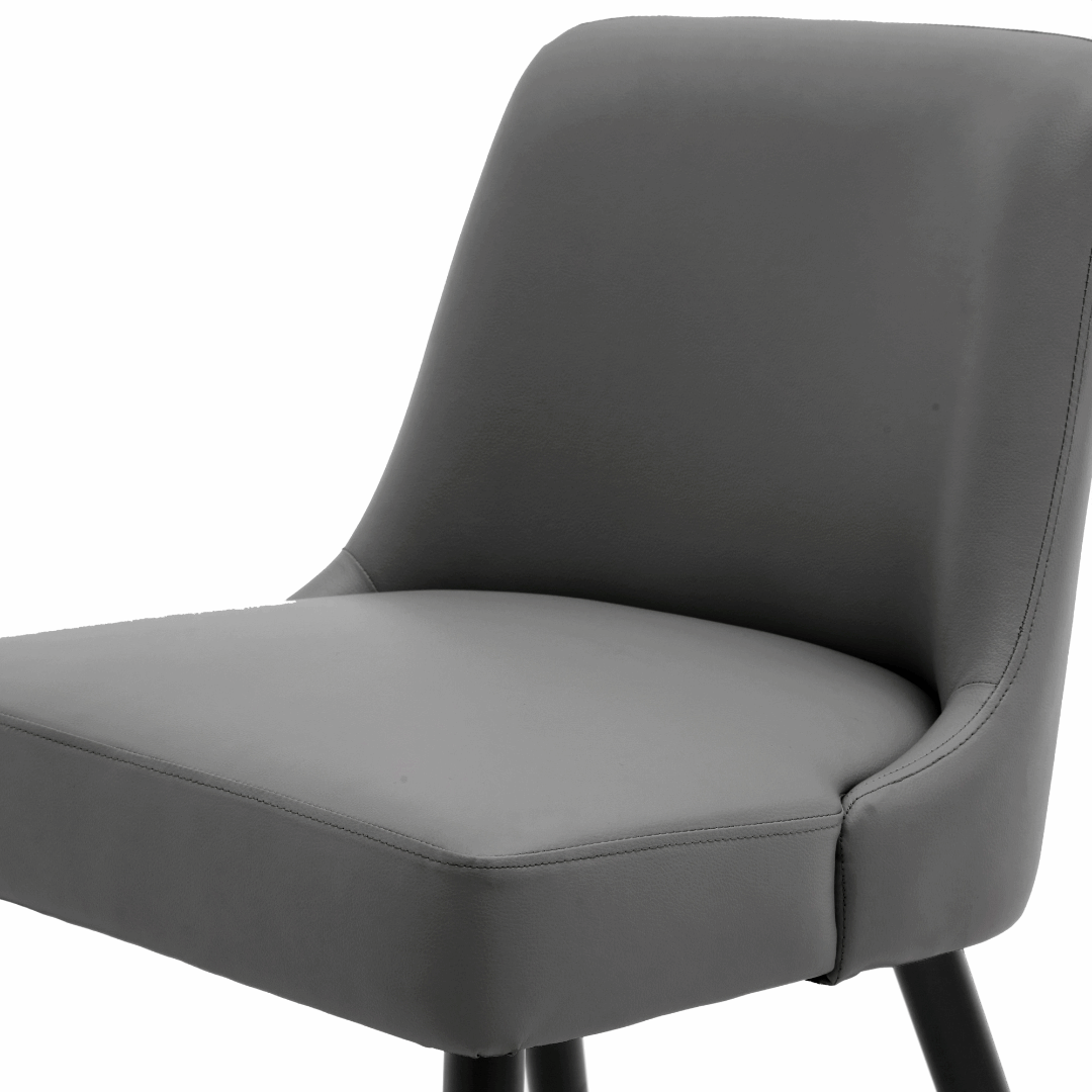 Asher Modern Wood Leg Upholstered Dining Chair (Set of 2)